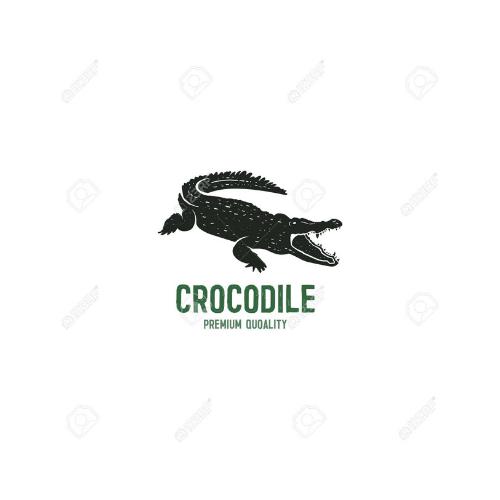 Crocodile