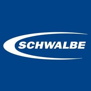 schwalbe
